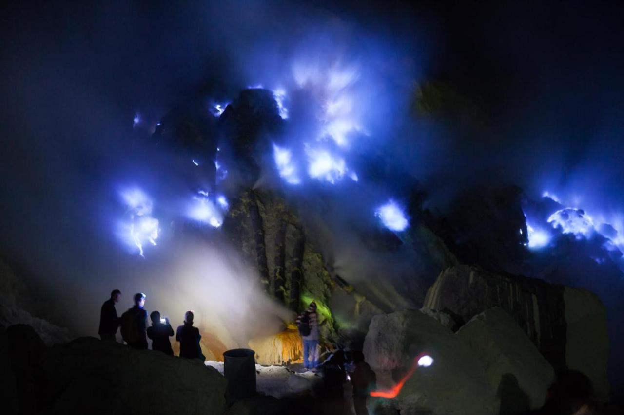 Dannu'S Homestay & Ijen, Bromo, Meru Betiri Sukomade Tours Баньюванги Экстерьер фото