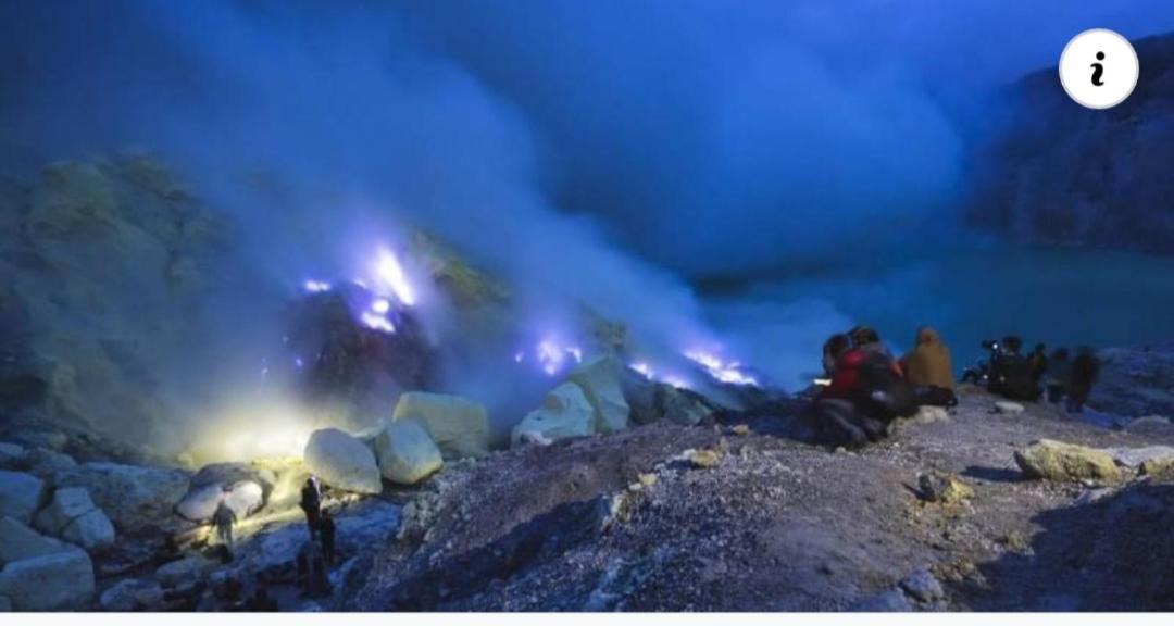 Dannu'S Homestay & Ijen, Bromo, Meru Betiri Sukomade Tours Баньюванги Экстерьер фото