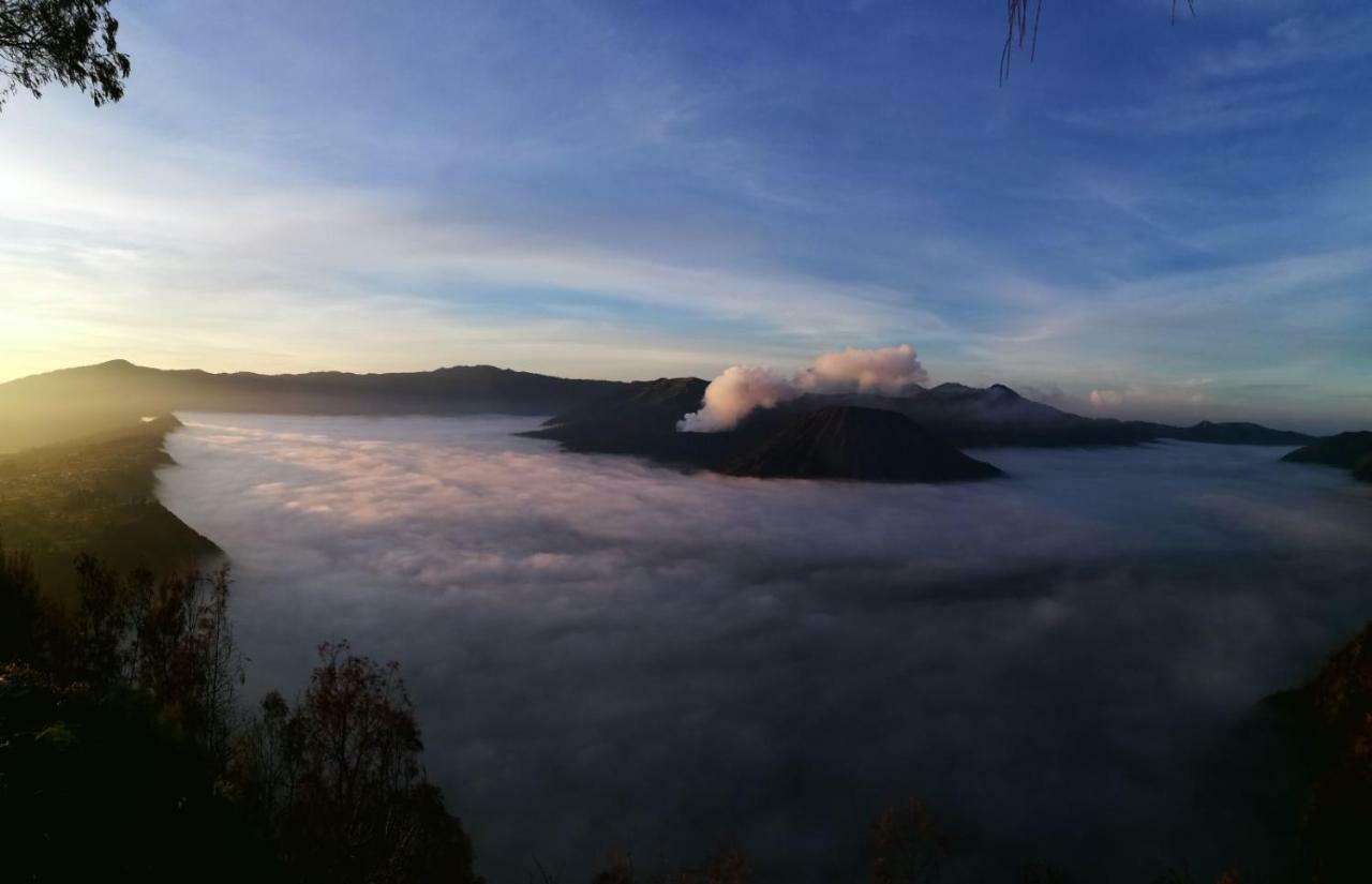 Dannu'S Homestay & Ijen, Bromo, Meru Betiri Sukomade Tours Баньюванги Экстерьер фото